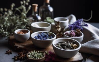 Herbal Adaptogens for Stress: Evidence, Cortisol & Safety (2026)
