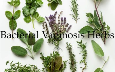 Natural Relief from BV: Exploring Herbal Remedies