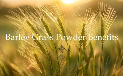 Health Benefits of Barley Grass