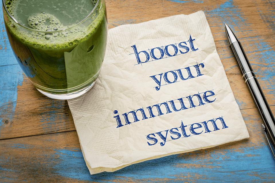 Top Herbs for Supporting a Healthy Immune System
