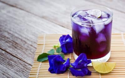 Unveiling the Health Benefits of Clitoria Flower Tea