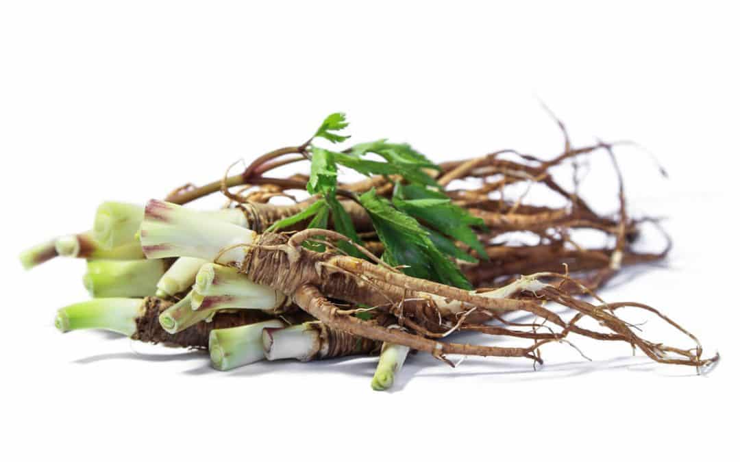 Herbs for Women’s Health: Traditional Uses and Modern Science