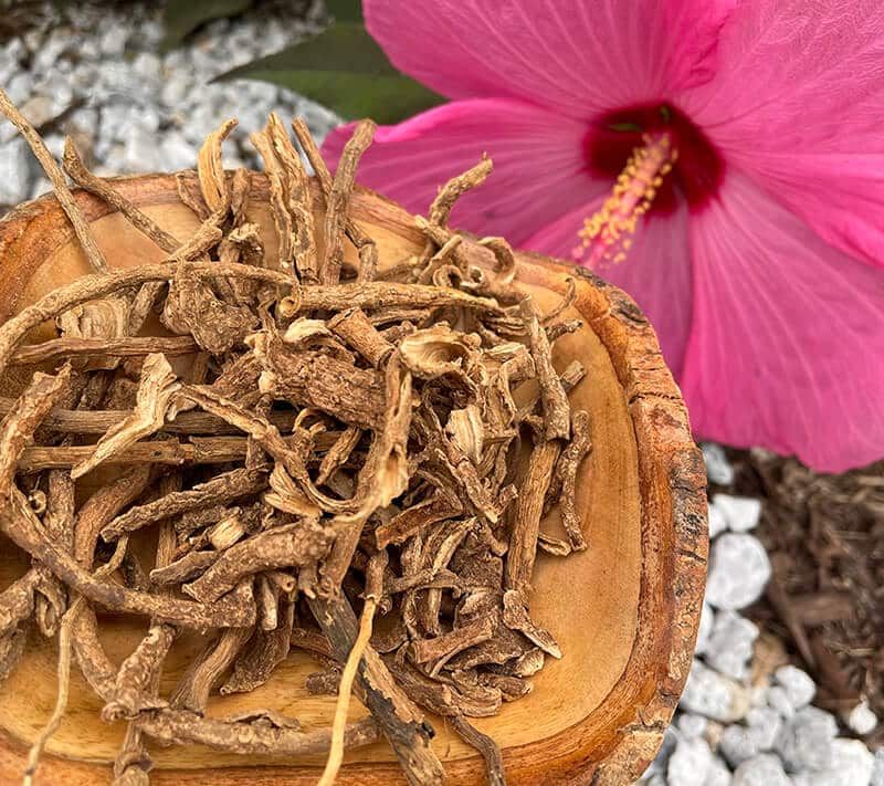 Fadogia root