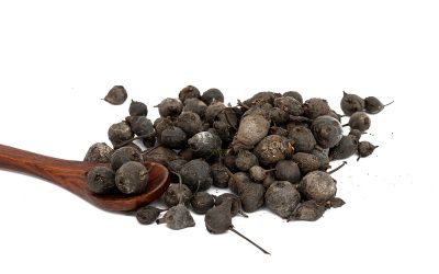 A Guide to Goron Tula’s Use for Men’s Health