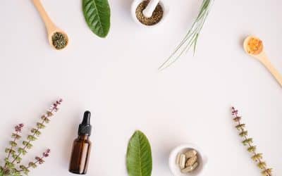 Highly-Regarded Herbal Supplements: A Guide to Their Benefits