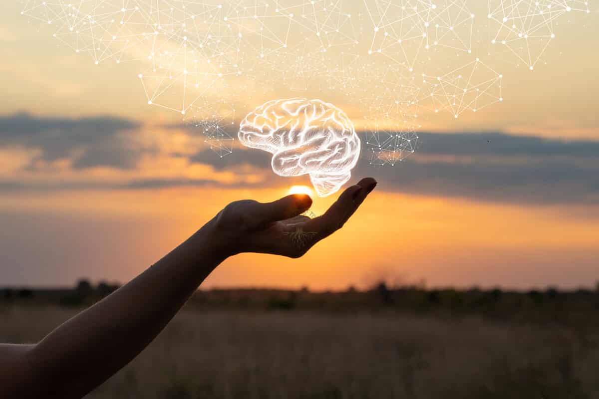 Improve brain health