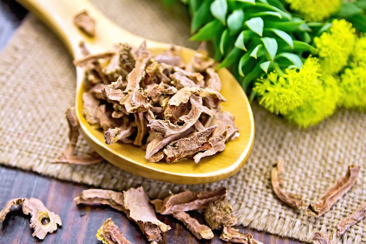 Rhodiola rosea root
