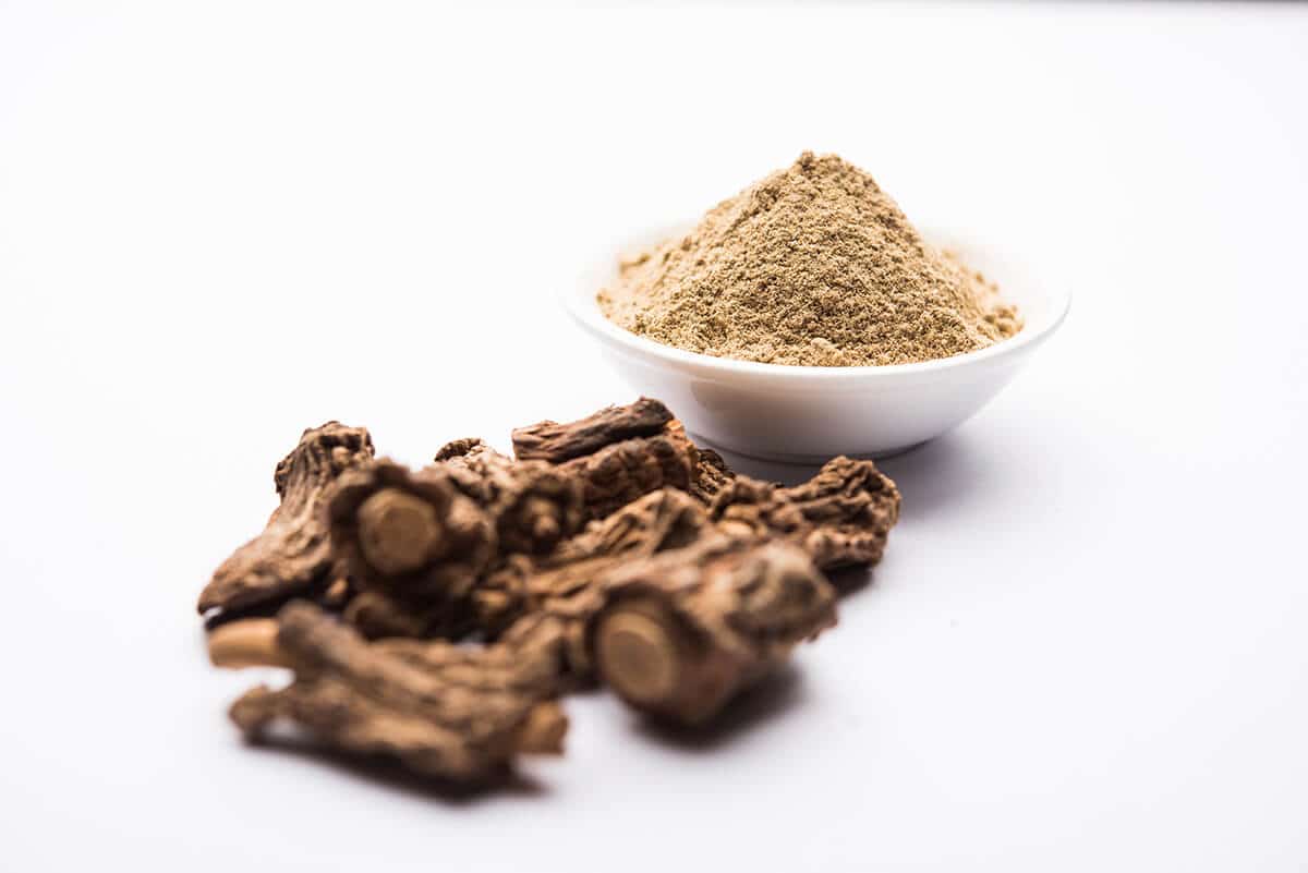 Sarsaparilla roots