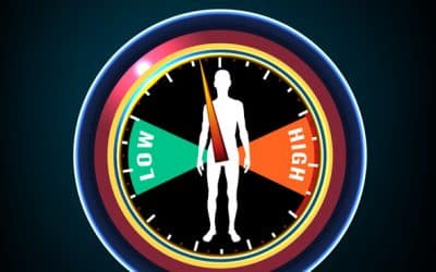 B. natalensis and Hormonal Health: Effects on Testosterone and Libido
