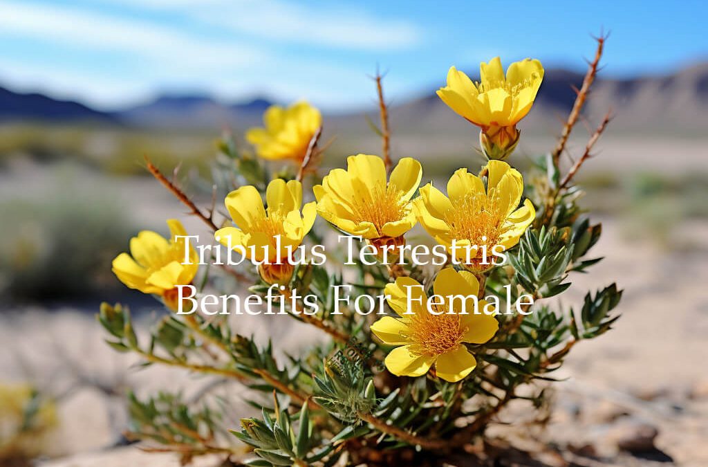Tribulus Terrestris and Women’s Health: A Comprehensive Guide