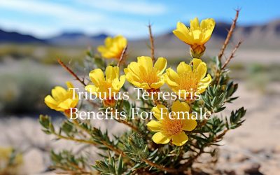 Tribulus Terrestris and Women’s Health: A Comprehensive Guide