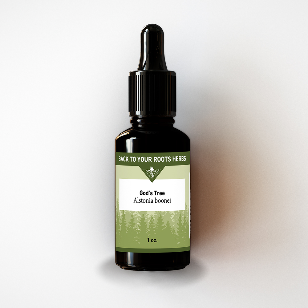 Alstonia Boonei Bark Tincture Back To Your Roots Herbs Alstonia Boonei (Alstonia boonei De Wild) Bark Tincture 1 oz - alstonia boonei bark tincture