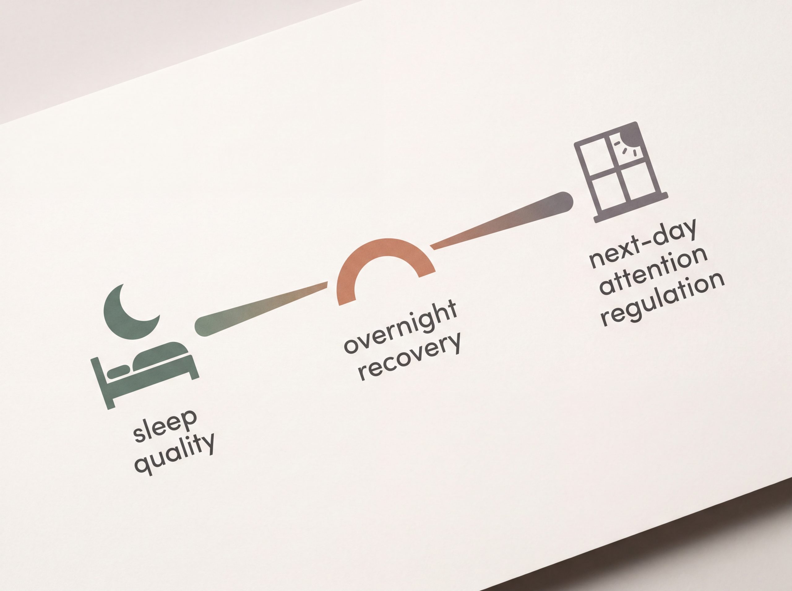 Three-stage graphic linking sleep quality through overnight recovery to next-day attention regulation