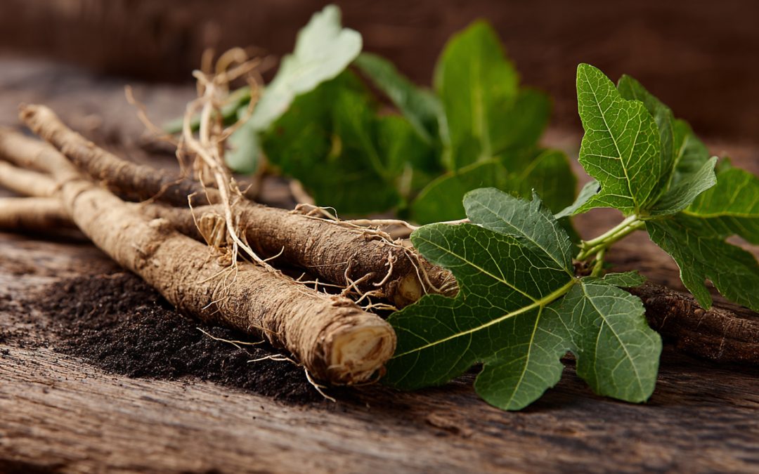 Ashwagandha’s Role in a Smoother Menopausal Transition