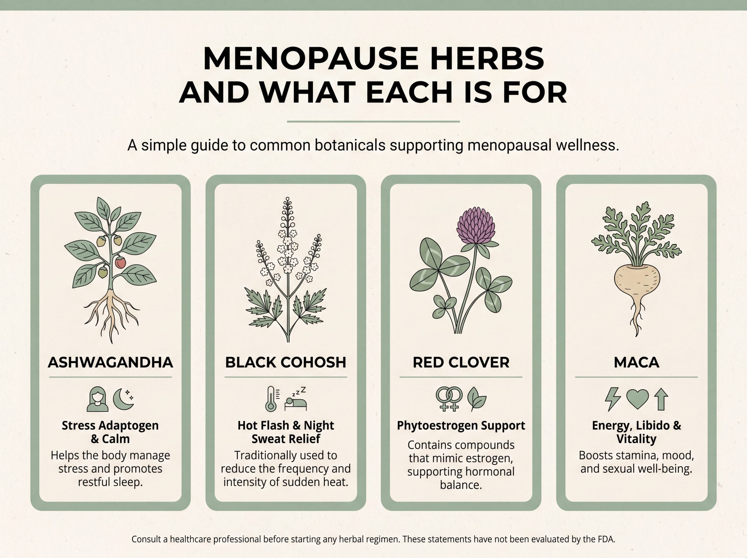 Infographic comparing ashwagandha, black cohosh, red clover, and maca for menopause