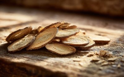Learn Astragalus Root (Huang Qi): Benefits, Dosage, and Safety