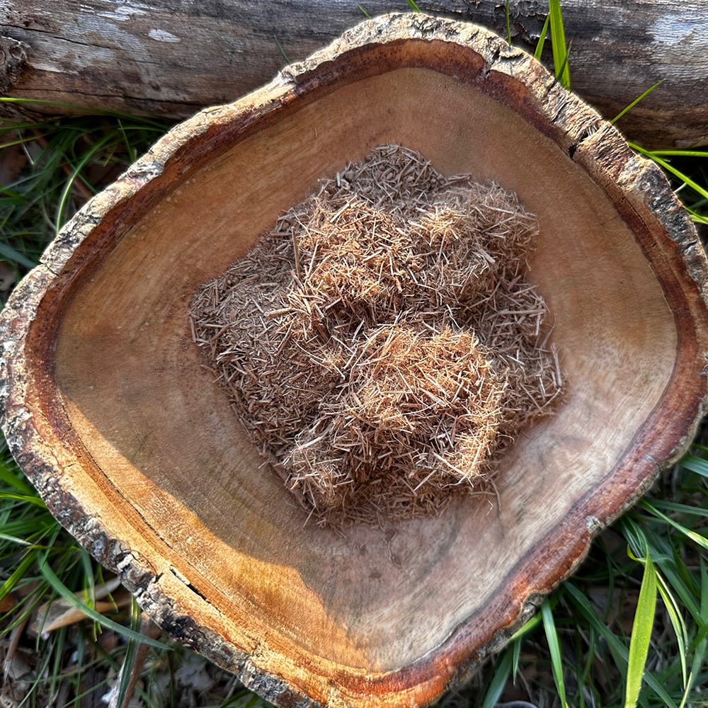 Bajakah Powder A natural wooden bowl filled with shredded, fibrous authentic bajakah root, resting on green grass in the sunlight.