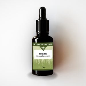A 1 oz. amber glass bottle of Back To Your Roots Herbs Bangalala Tincture with a black dropper cap, shown on a white background.