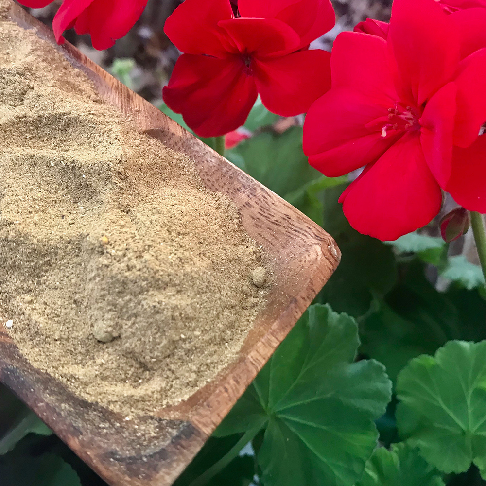 Excess Fat Powder A wooden bowl of Back To Your Roots Herbs Excess Fat powder, highlighting its fine, natural texture, with red flowers in the background.