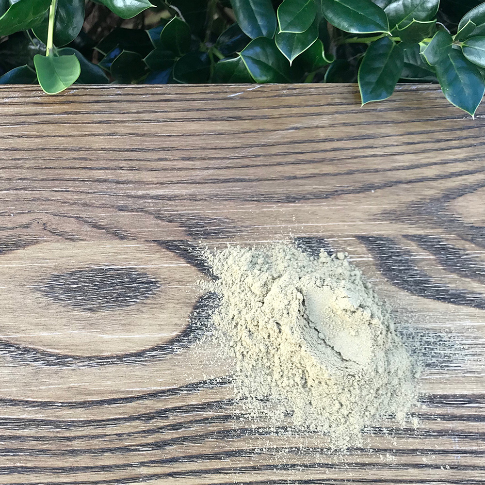 Maral Root Powder A pile of fine organic maral root powder on a wooden surface with fresh green leaves in the background.