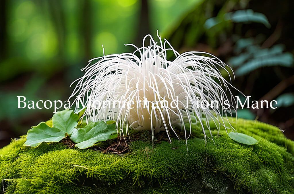 Combining Bacopa and Lion’s Mane for Enhanced Cognitive Function