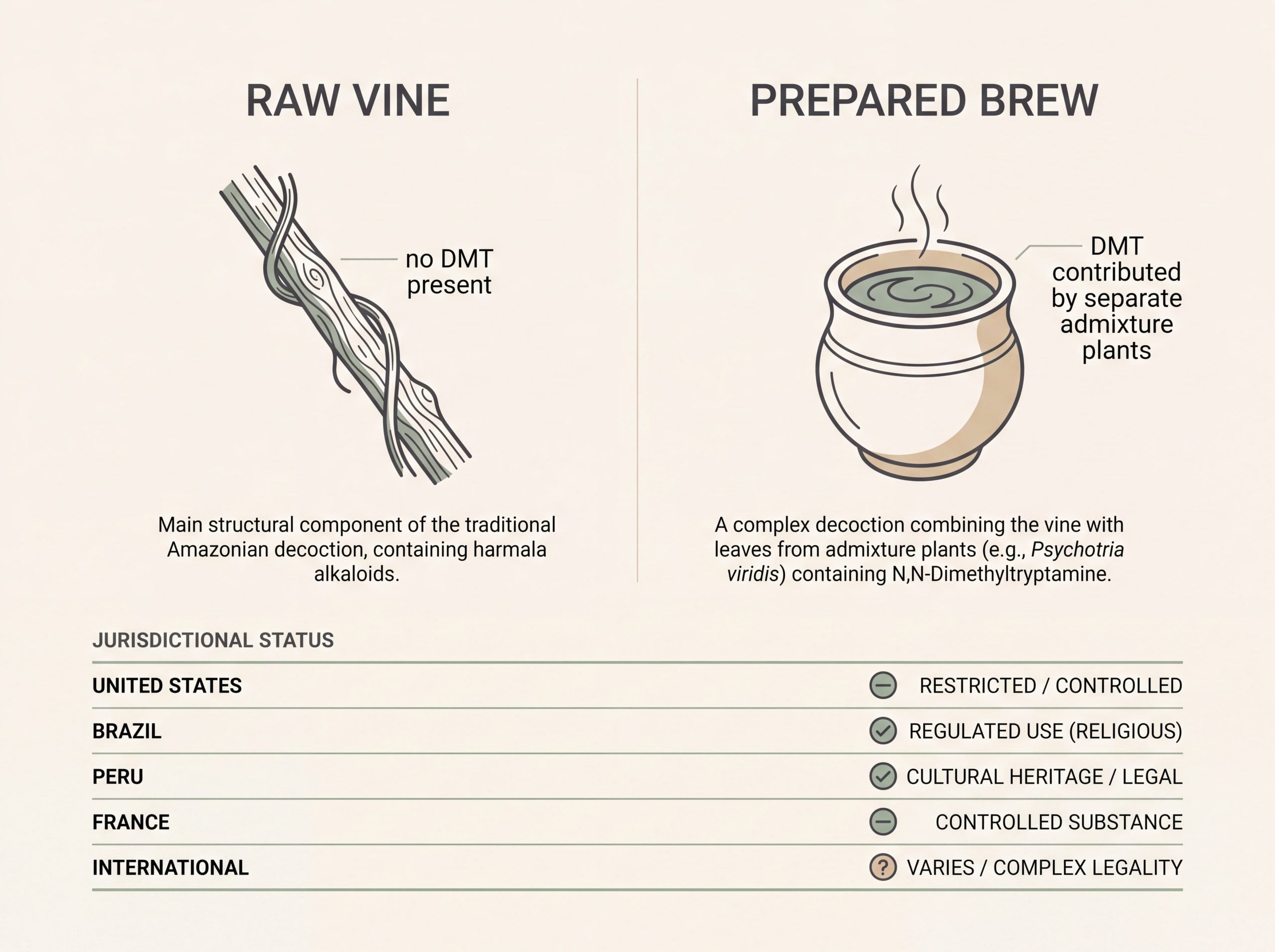 Comparison chart of raw Banisteriopsis caapi vine versus prepared brew with status across five jurisdictions