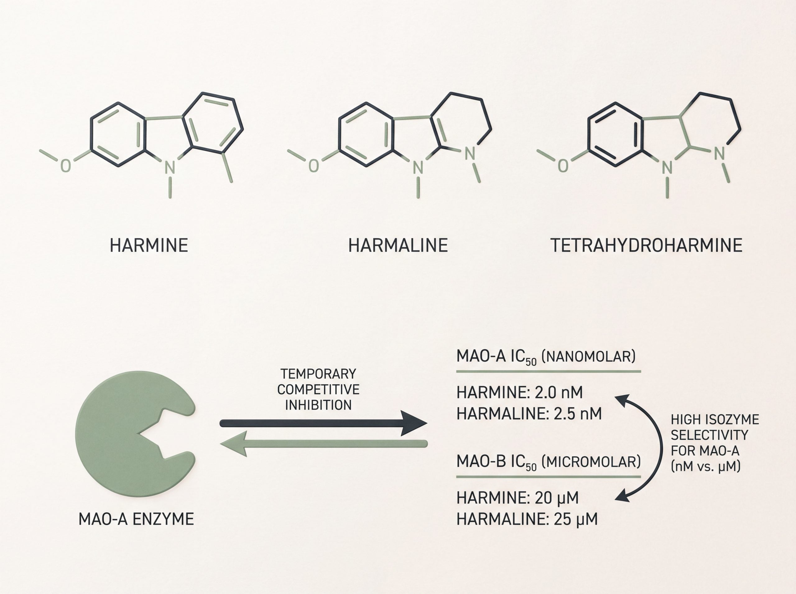 Diagram of harmine, harmaline and tetrahydroharmine structures with reversible MAO-A binding and IC50 values
