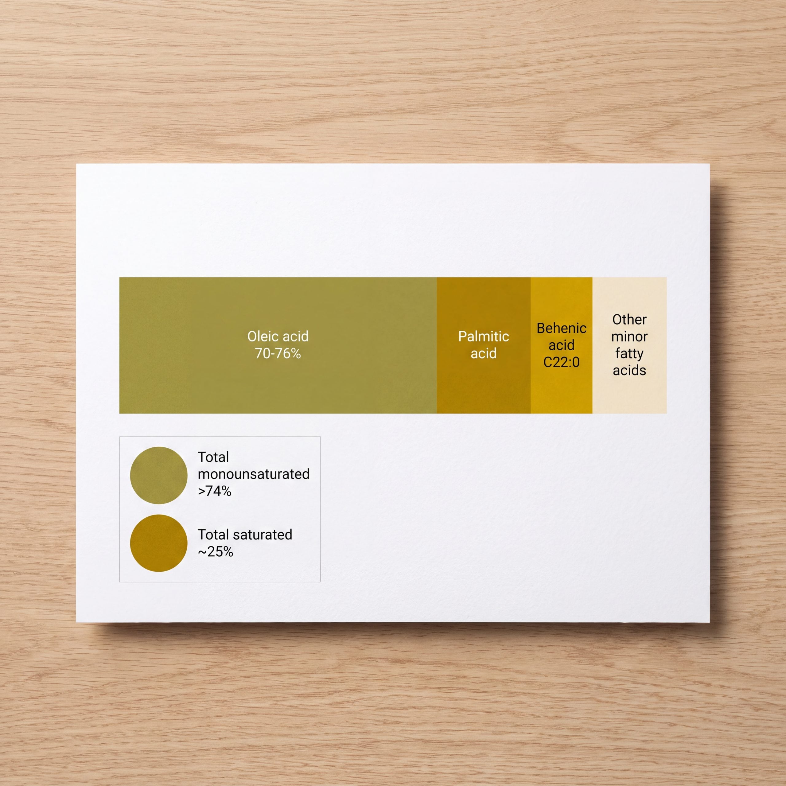 Infographic breaking down moringa seed oil fatty acid composition, showing oleic acid at seventy to seventy-six percent alongside behenic acid.