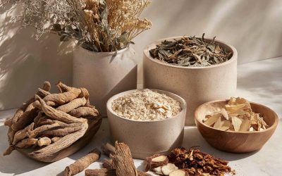 Learn A Guide to Adaptogens and Weight Management