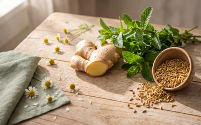 Herbal Allies for Digestive Health: A Comprehensive Guide