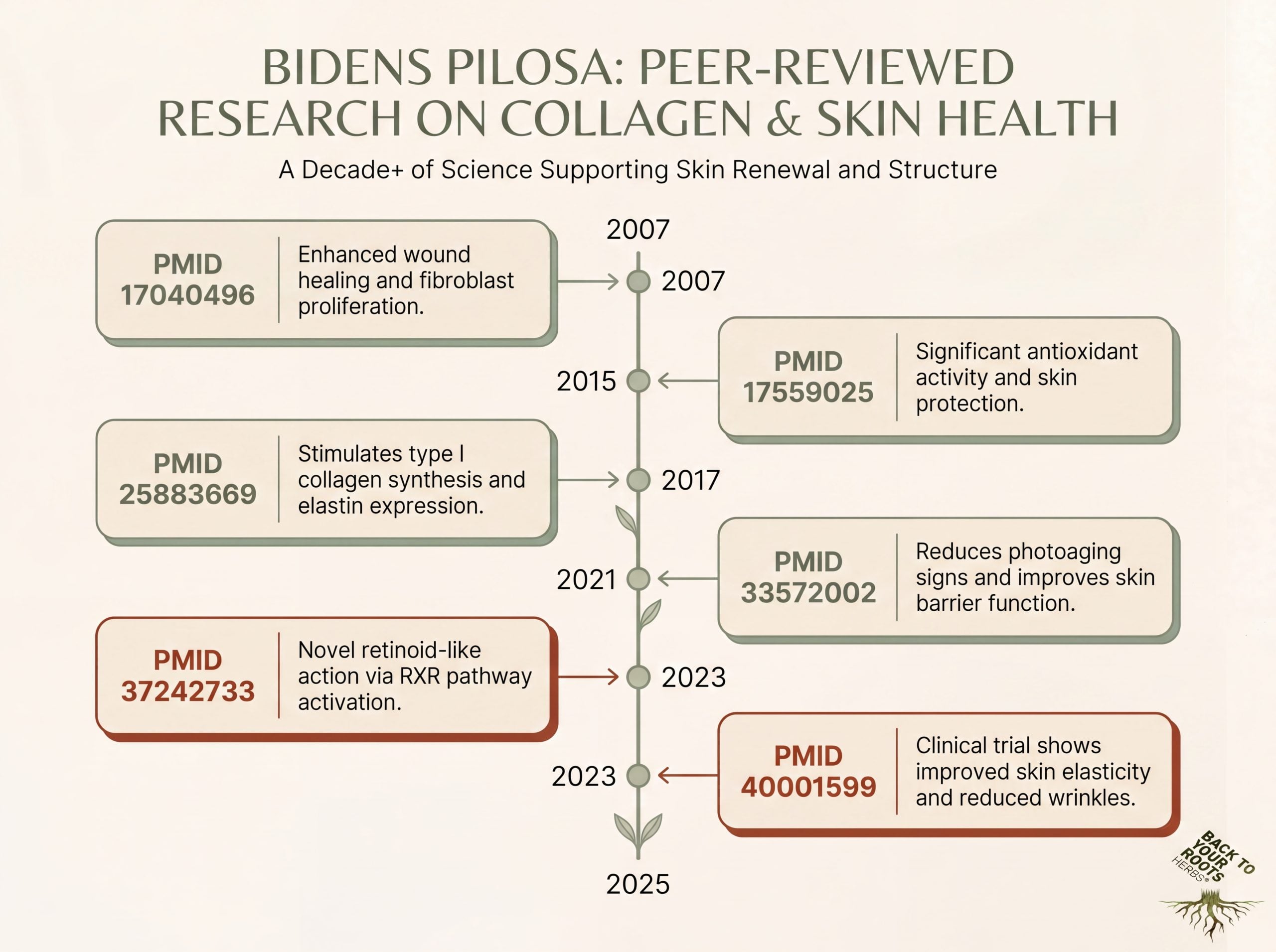 Bidens pilosa peer-reviewed collagen research summary infographic with PubMed PMID references 2007 through 2025