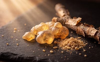 Learn Boswellia’s Role in Addressing Hair Loss: Benefits, Mechanisms, and Safety Considerations