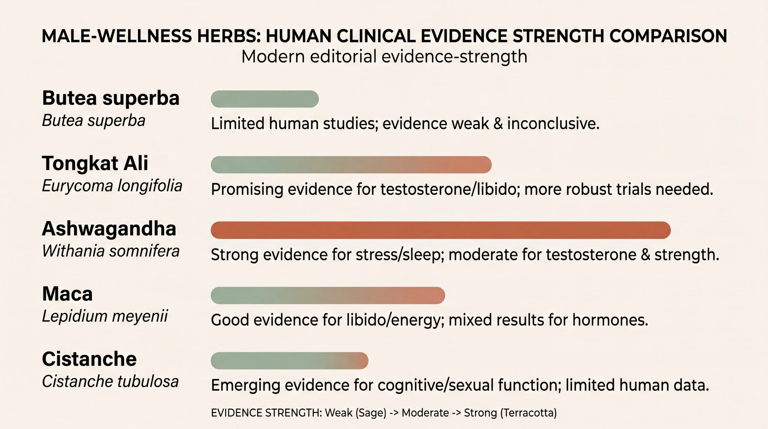 Chart comparing human clinical evidence strength for Butea superba, Tongkat Ali, ashwagandha, maca, and cistanche