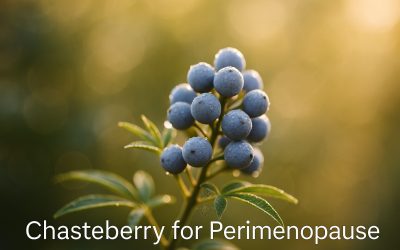 Learn Understanding Vitex Agnus-Castus and Its Role During the Perimenopausal Transition