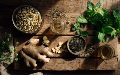 Learn A Beginner’s Guide to Plant-Based Remedies