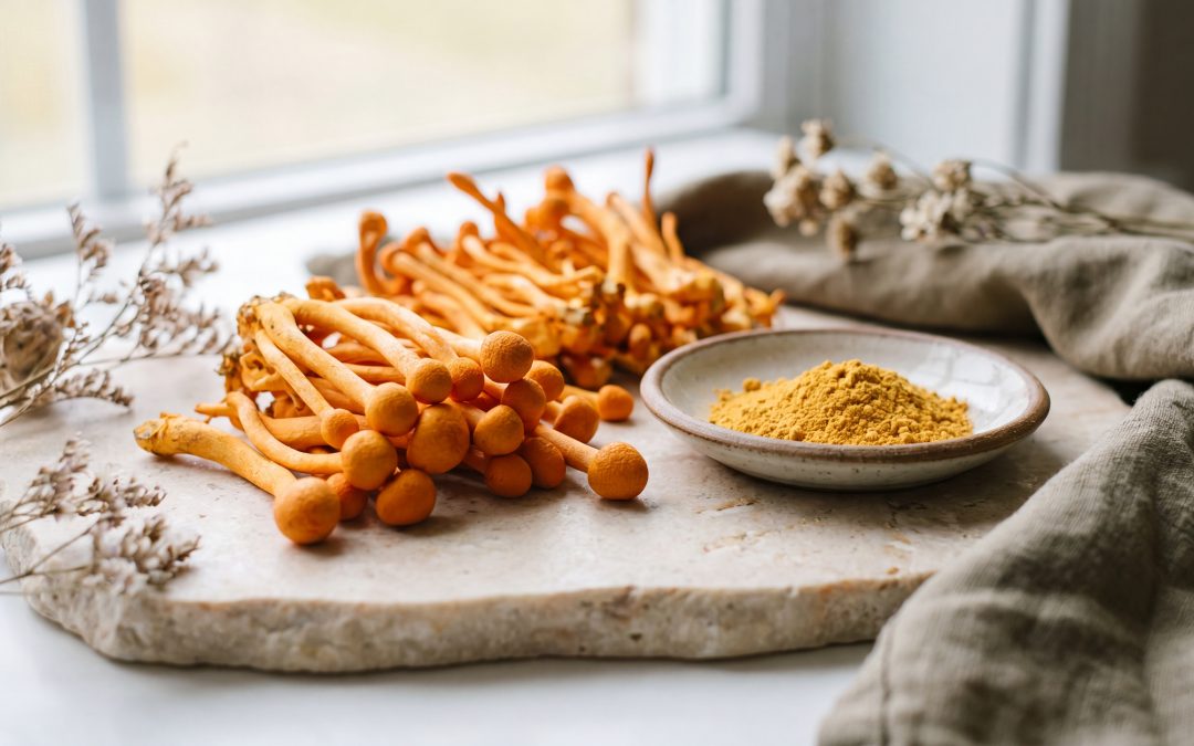 Cordyceps and Women’s Health: Benefits, Uses, and Hormonal Balance