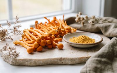 Cordyceps and Women’s Health: Benefits, Uses, and Hormonal Balance