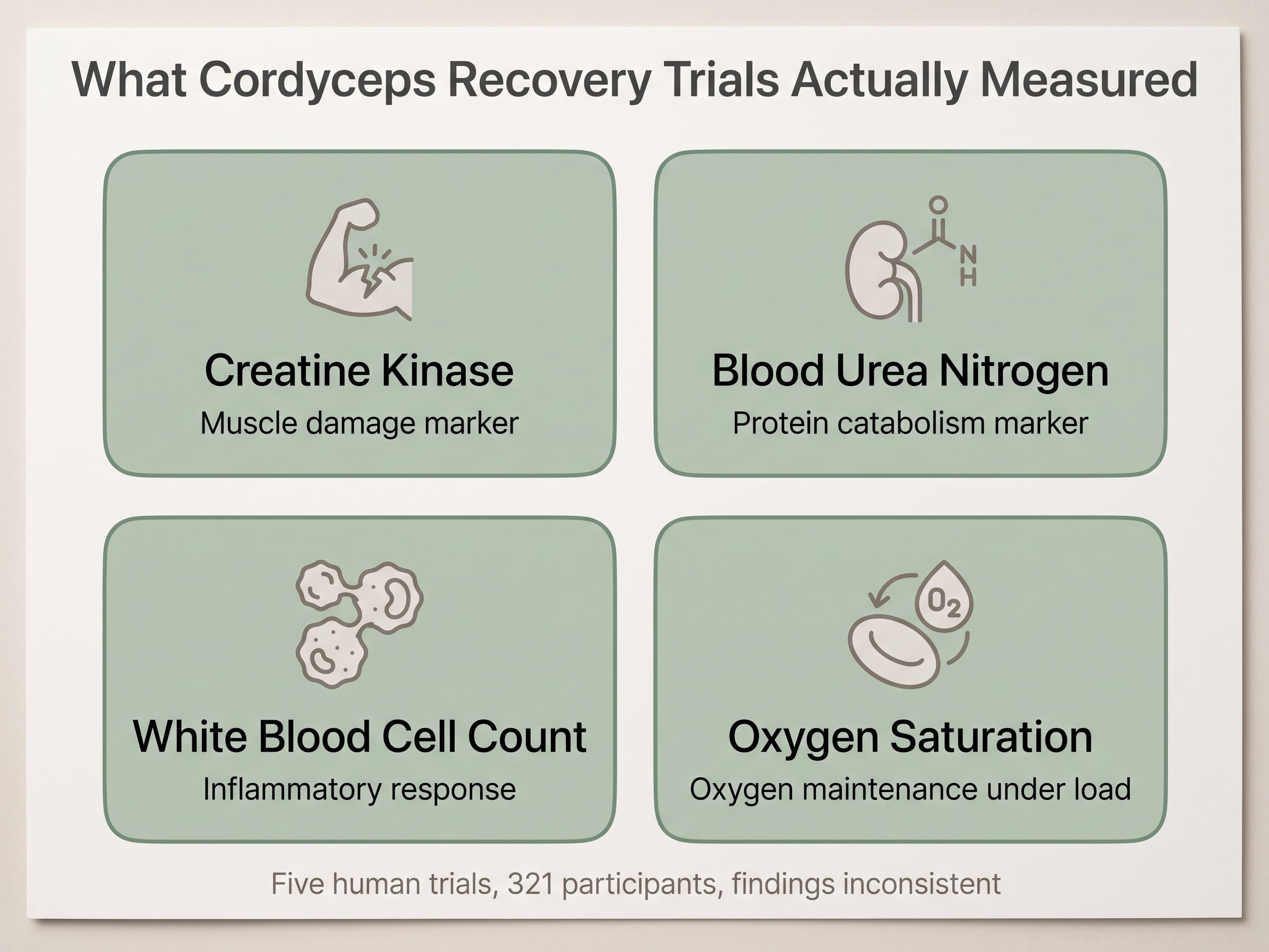 Infographic of four cordyceps recovery markers: creatine kinase, blood urea nitrogen, white blood cells, oxygen saturation.