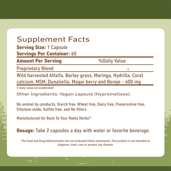 Daily Multivitamin Capsules | Whole Food Vitamins Supplement