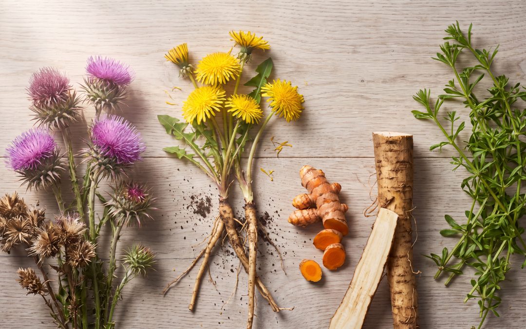 Natural Detoxification: How Herbs Can Help Cleanse Your Body