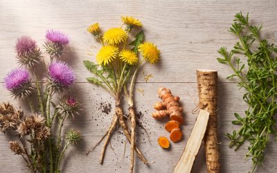 Learn Natural Detoxification: How Herbs Can Help Cleanse Your Body