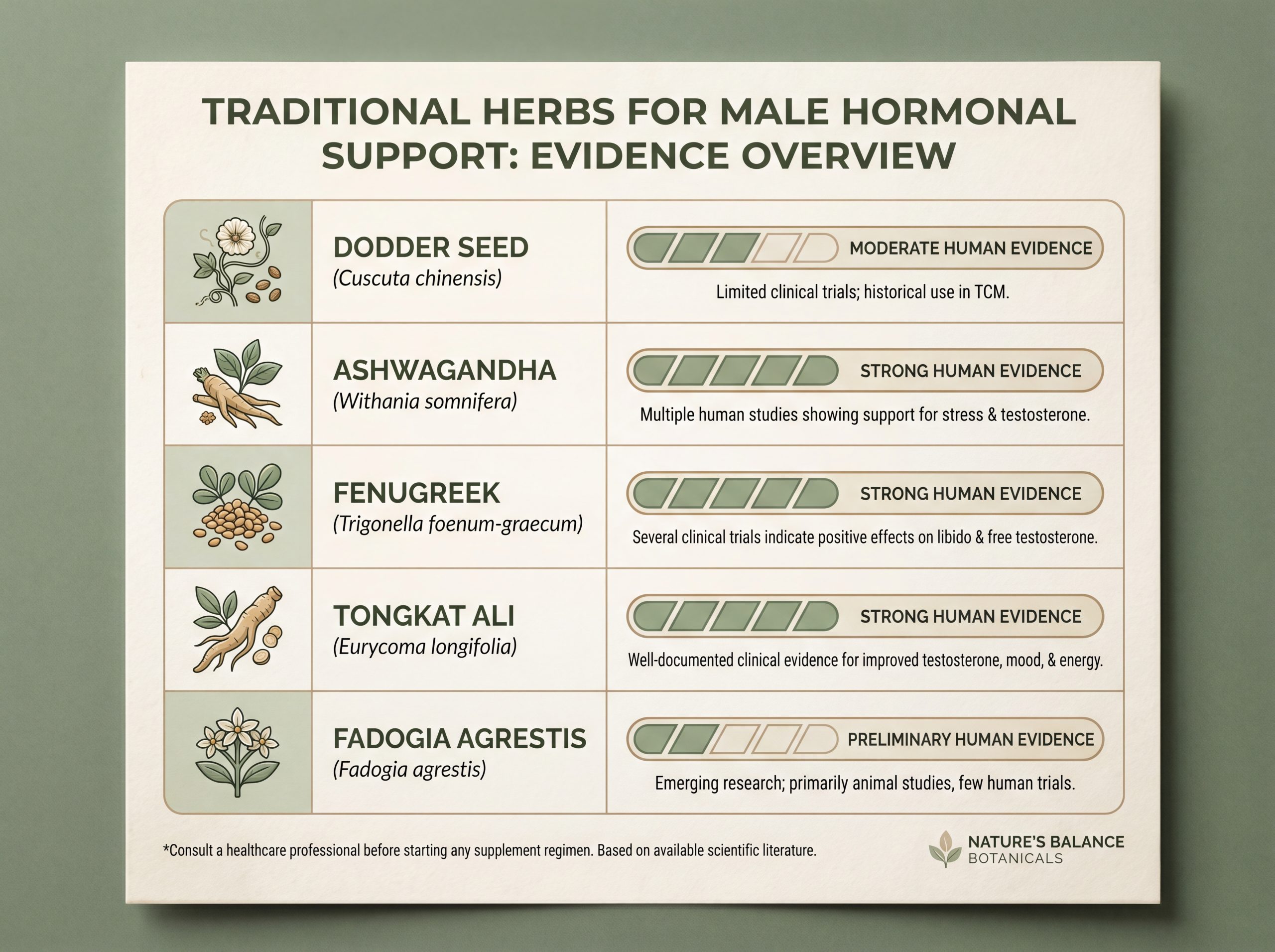 Comparison infographic of dodder seed and four other herbs studied for testosterone support
