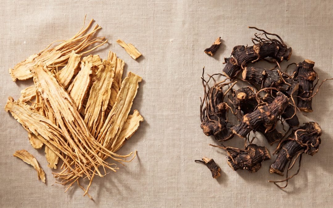 Dong Quai vs Black Cohosh: How They Differ and Which Is Better Studied