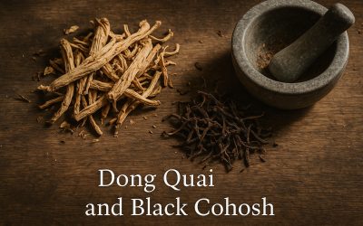 Learn Dong Quai and Black Cohosh: A Guide to This Traditional Herbal Pairing