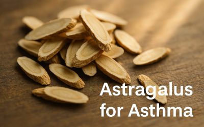 Learn Can Astragalus Help with Asthma? Exploring Benefits and Risks
