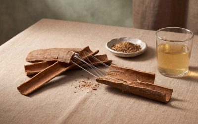 Unveiling the Health Benefits of Du Zhong: A Traditional Chinese Medicine Perspective
