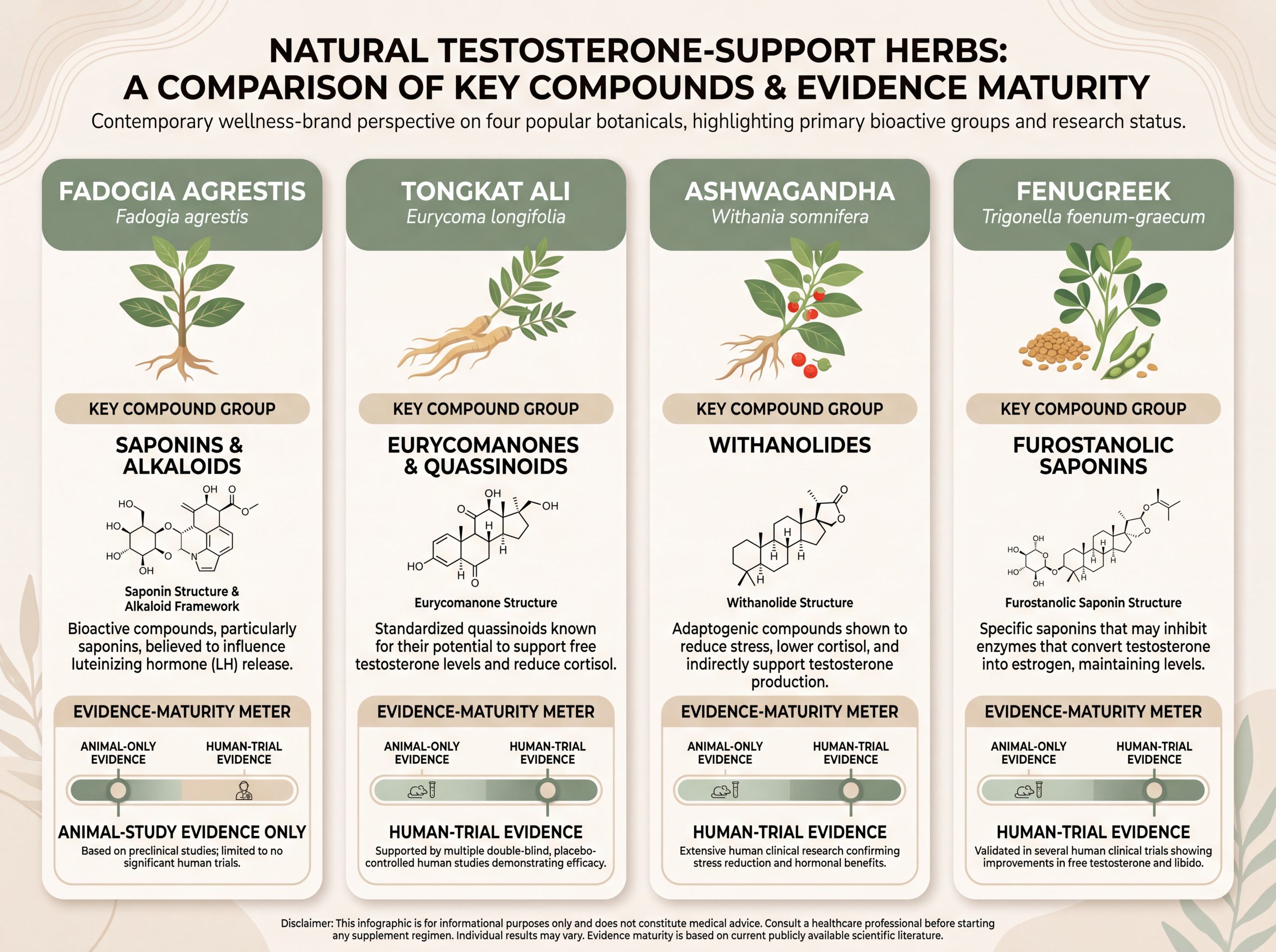 Comparison infographic of Fadogia, Tongkat Ali, Ashwagandha, and Fenugreek by evidence maturity