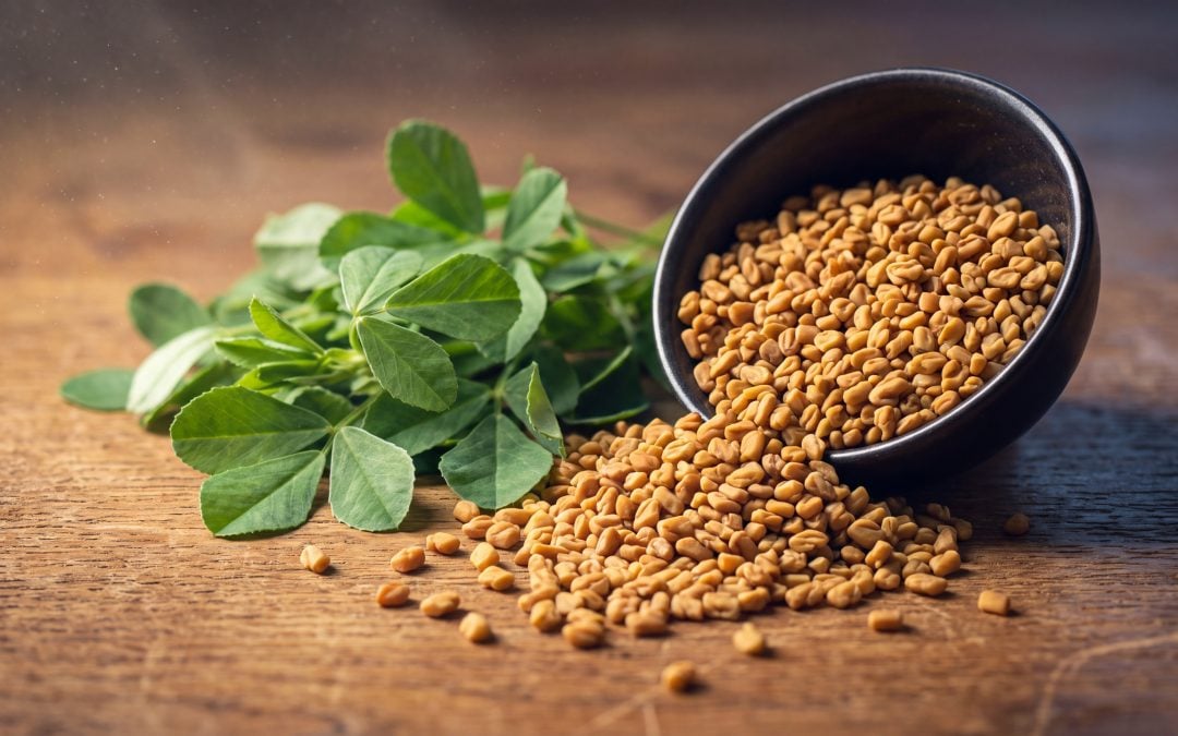 Fenugreek: Uses, Benefits, and Safety Information