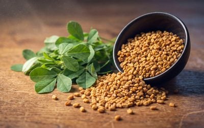 Fenugreek: Uses, Benefits, and Safety Information
