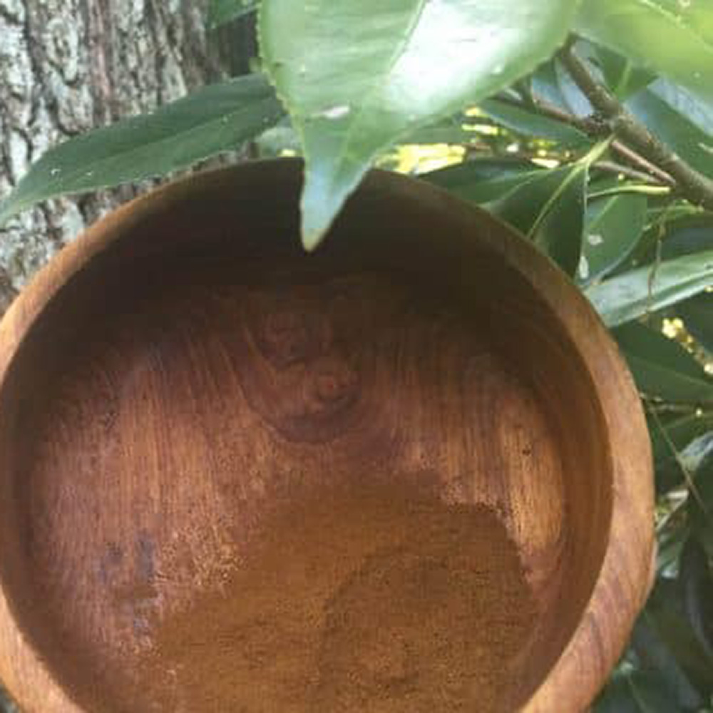 Chaga Powder A close-up view of dark brown, finely ground organic chaga powder in a wooden bowl, shown in a natural outdoor setting.
